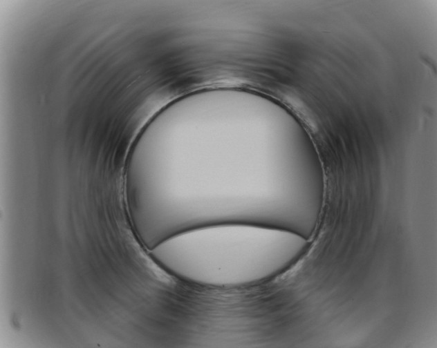 X0000097891186200803140958