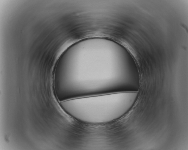 X0000097891187200803140958