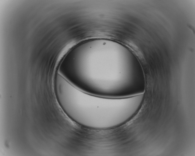 X0000097891188200803140958