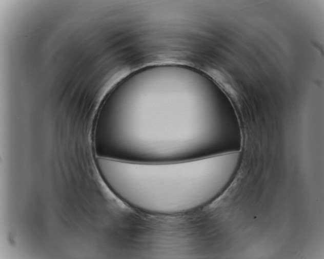 X0000097891189200803140958