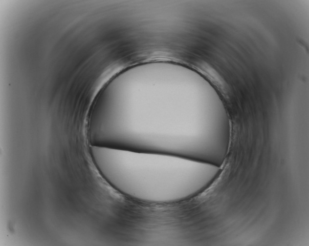 X0000097891190200803140958