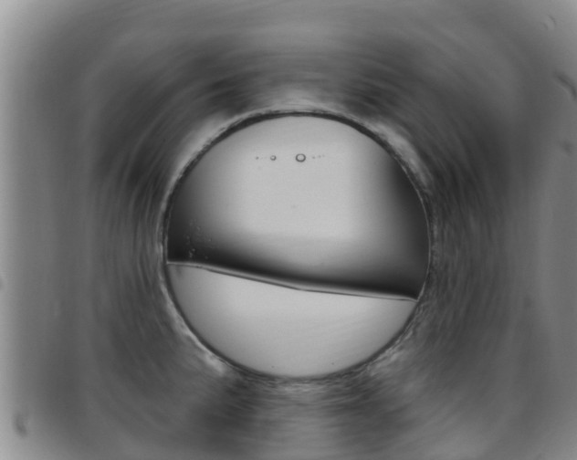 X0000097891191200803140958