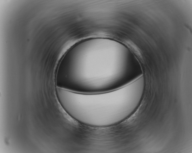 X0000097891192200803140958