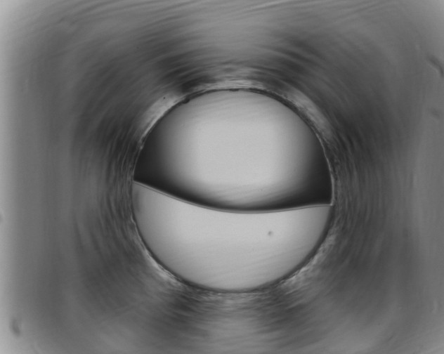 X0000097891193200803140958
