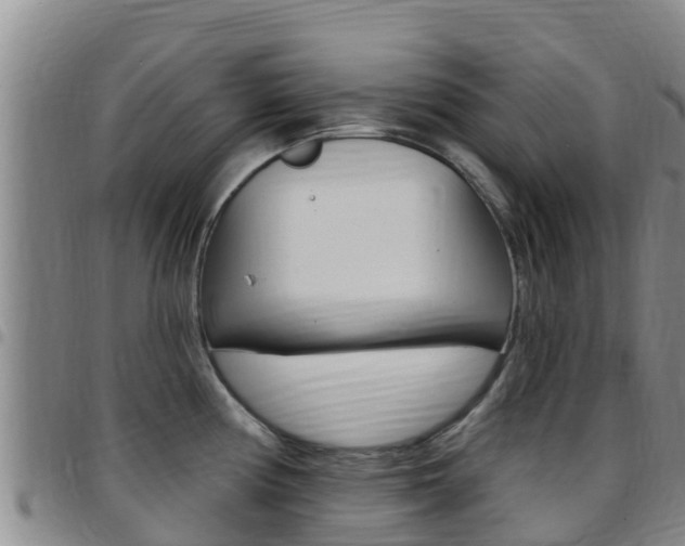 X0000097891194200803140958