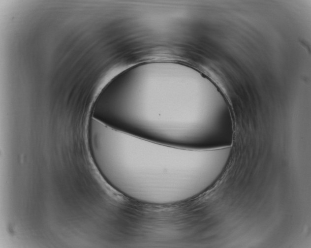 X0000097891195200803140958