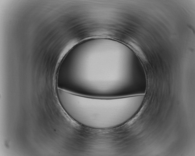 X0000097891196200803140958