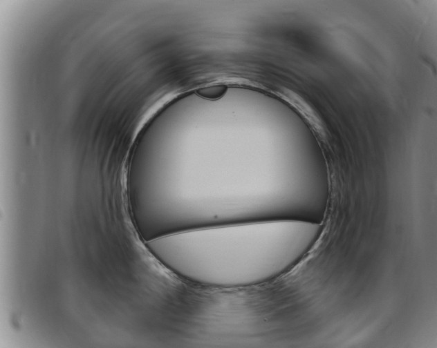 X0000097891198200803140958