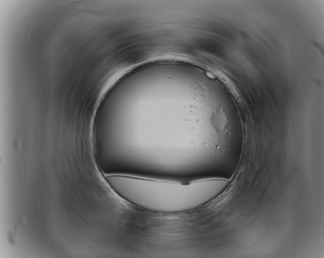 X0000097891199200803140958