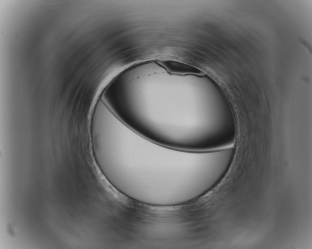 X0000097891200200803140958