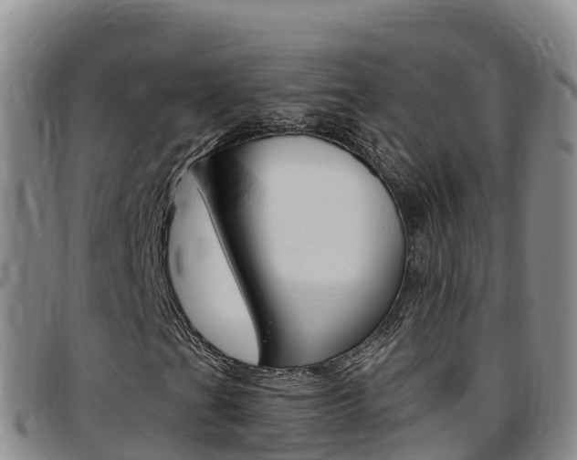 X0000097891201200803140957