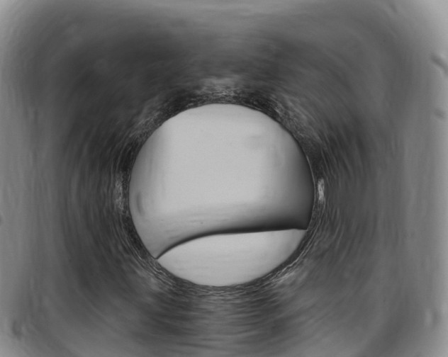 X0000097891203200803140957