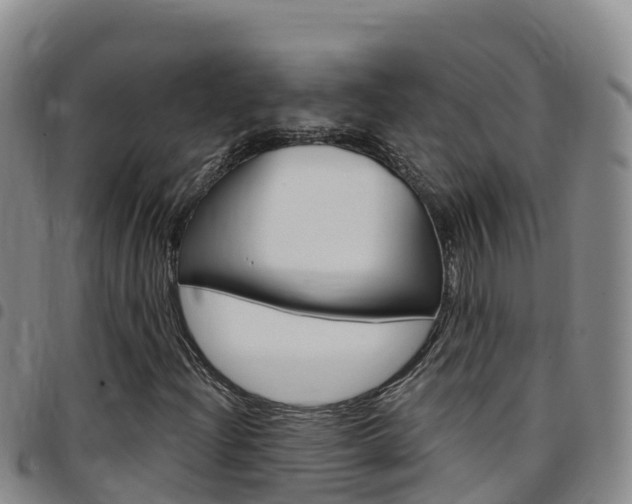 X0000097891204200803140957