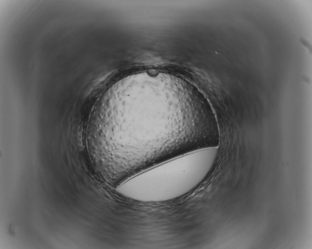 X0000097891205200803140957