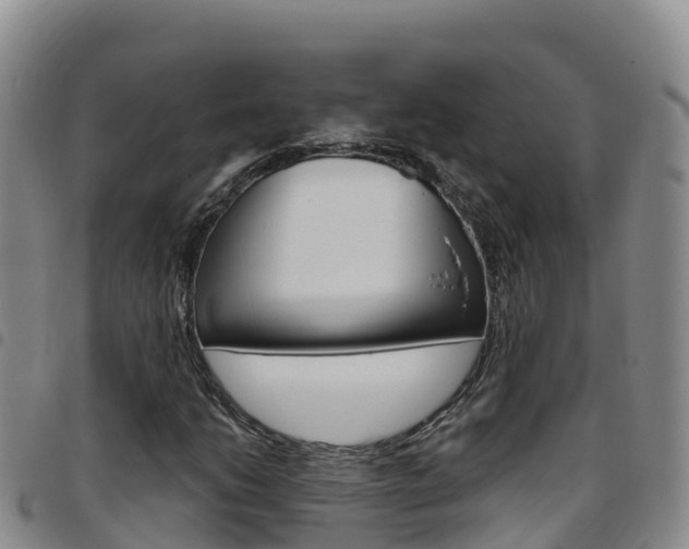 X0000097891206200803140957