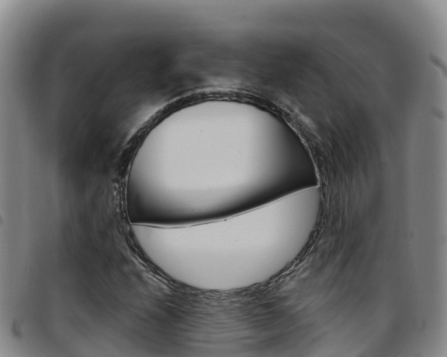 X0000097891208200803140957