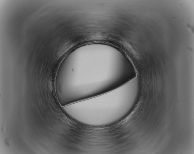 X0000097891209200803140957
