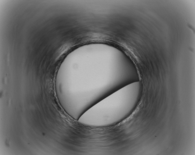 X0000097891211200803140957