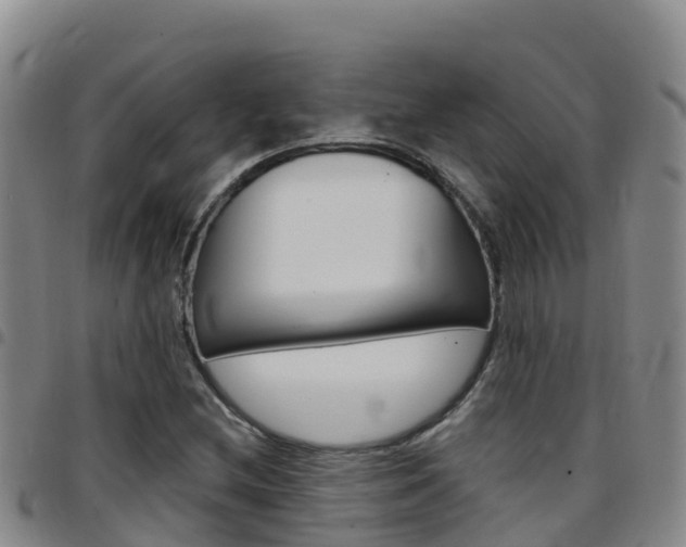 X0000097891212200803140957
