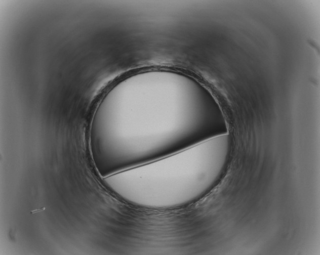 X0000097891214200803140957