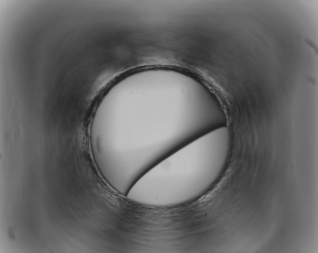 X0000097891215200803140957