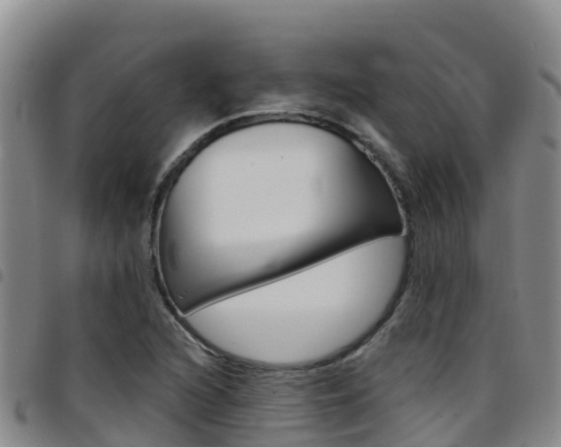 X0000097891216200803140957