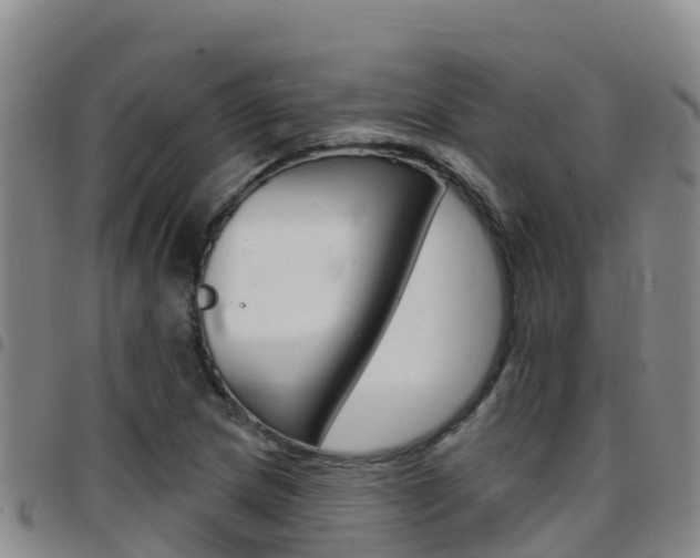 X0000097891217200803140957