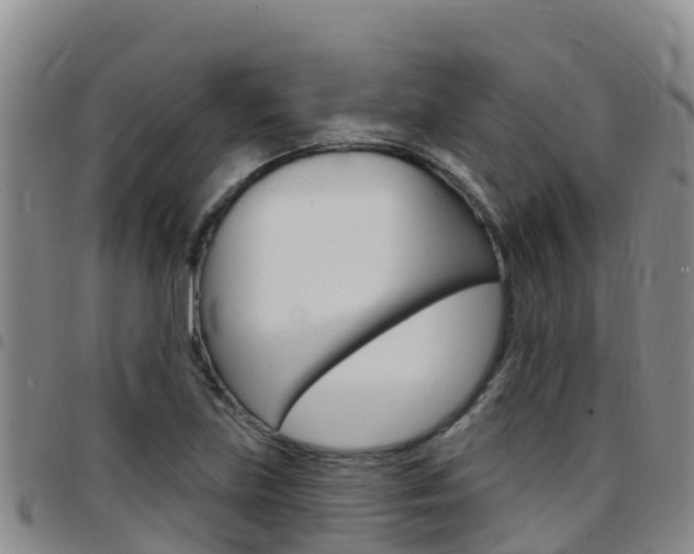 X0000097891219200803140957