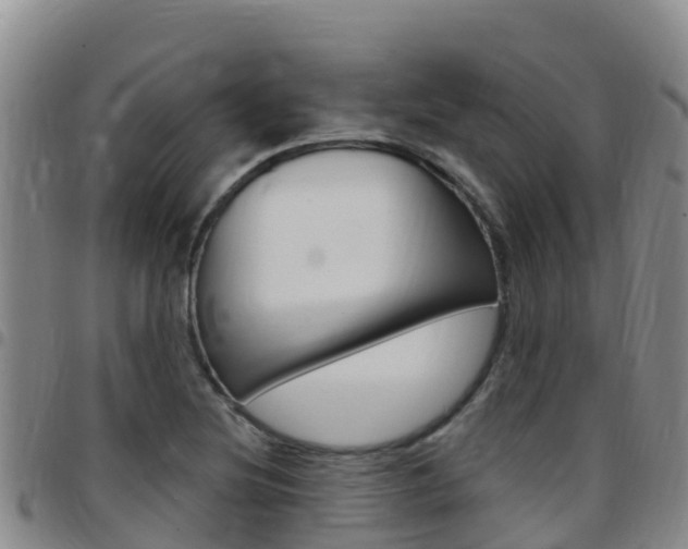 X0000097891220200803140957