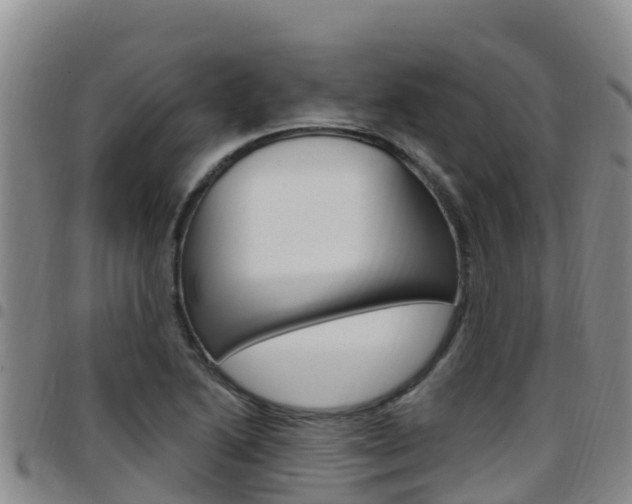 X0000097891222200803140957