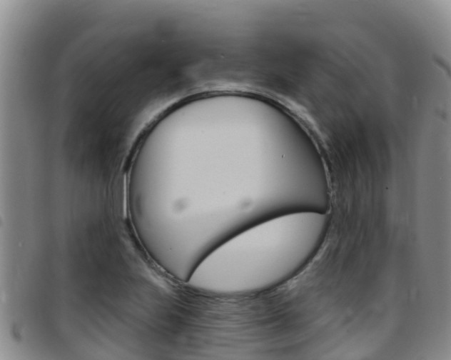 X0000097891223200803140957