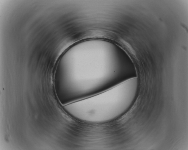 X0000097891226200803140957