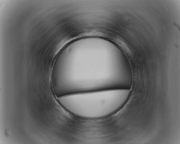 X0000097891228200803140957