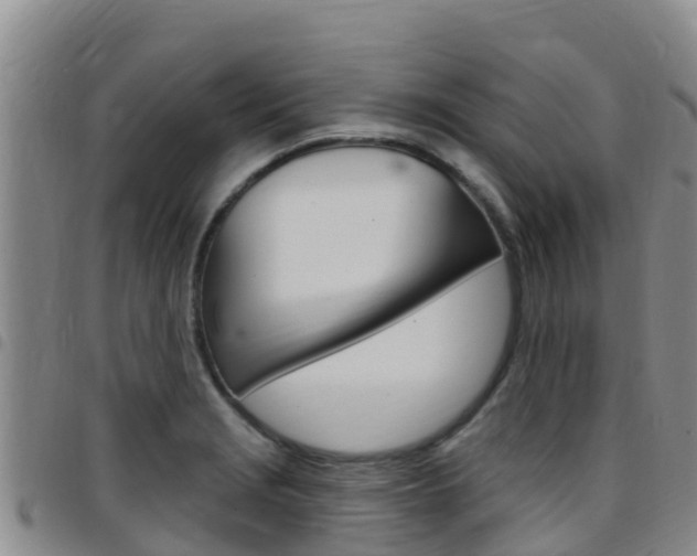 X0000097891229200803140957