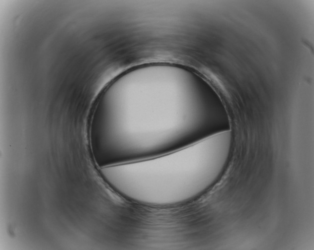 X0000097891230200803140957