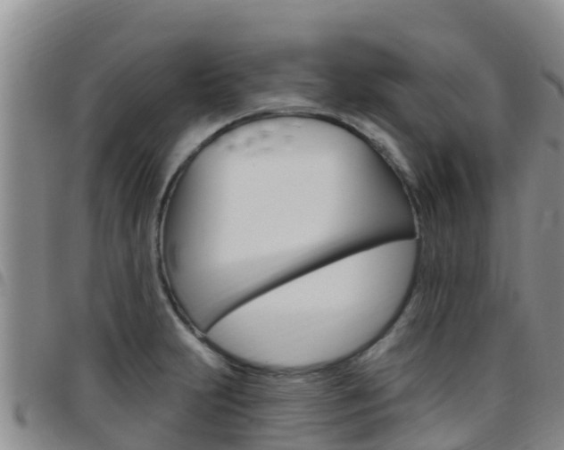 X0000097891231200803140957