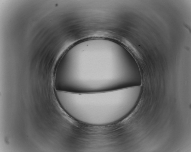 X0000097891232200803140957