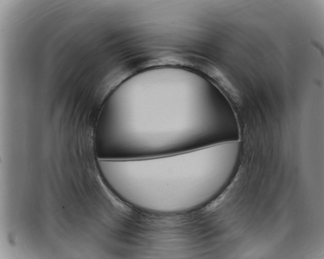 X0000097891233200803140957