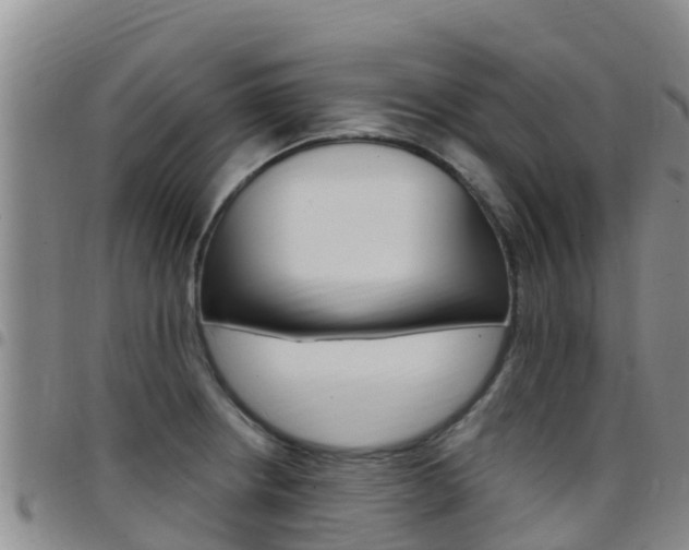 X0000097891234200803140957