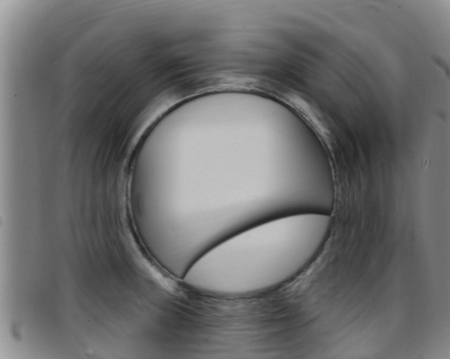 X0000097891235200803140958