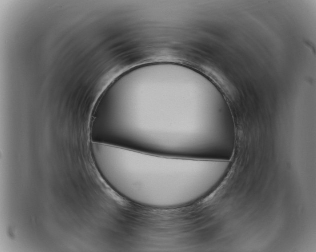X0000097891236200803140958