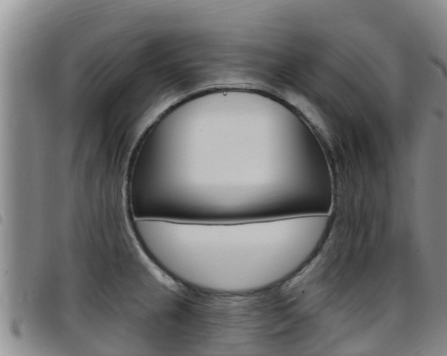 X0000097891237200803140958