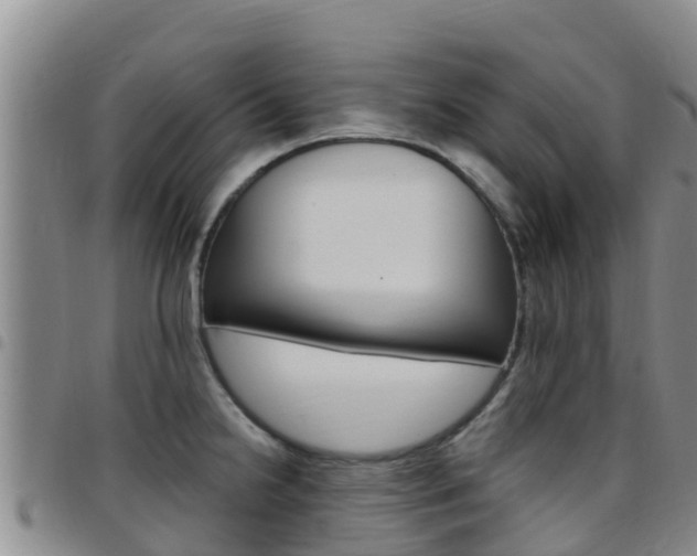X0000097891238200803140958