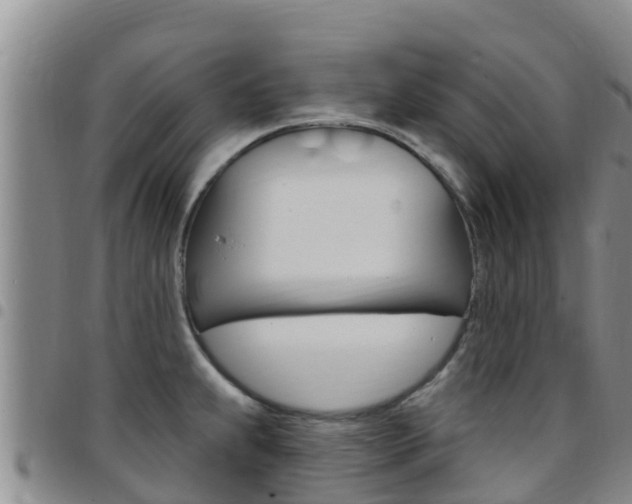X0000097891239200803140958
