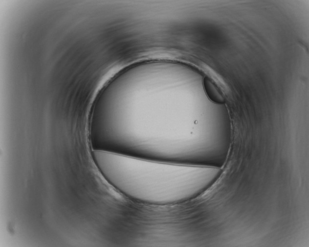 X0000097891240200803140958