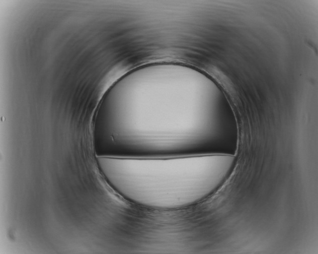 X0000097891242200803140958