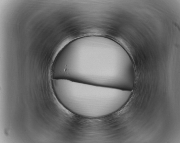 X0000097891243200803140958