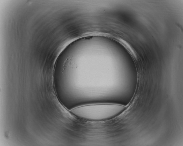 X0000097891244200803140958