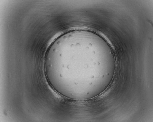 X0000097891245200803140958