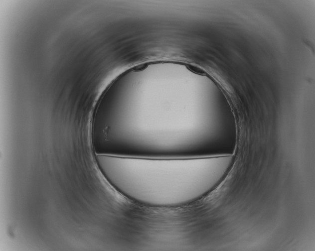 X0000097891246200803140958
